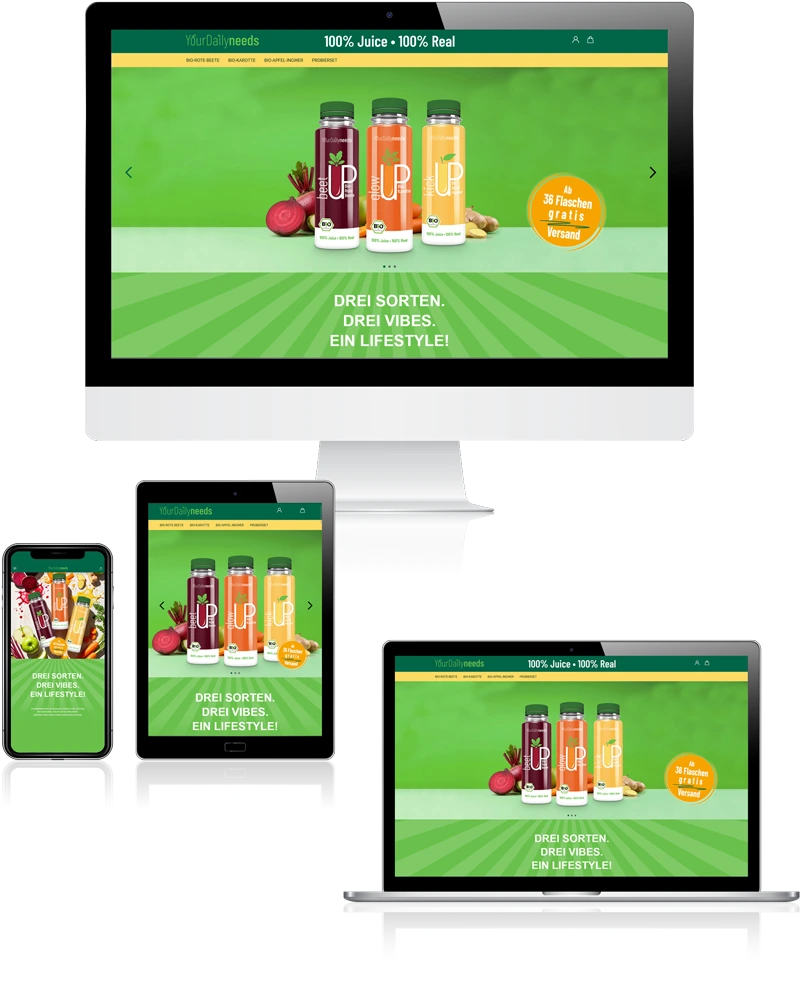 Webshop professionell erstellen lassen